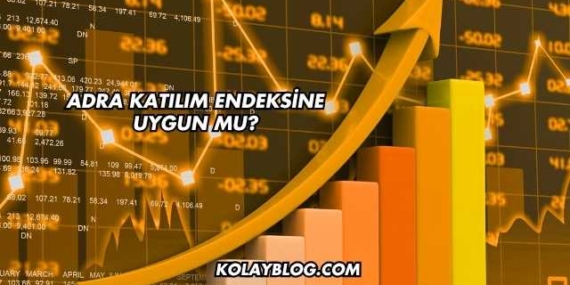 Adra Katılım Endeksine Uygun mu?