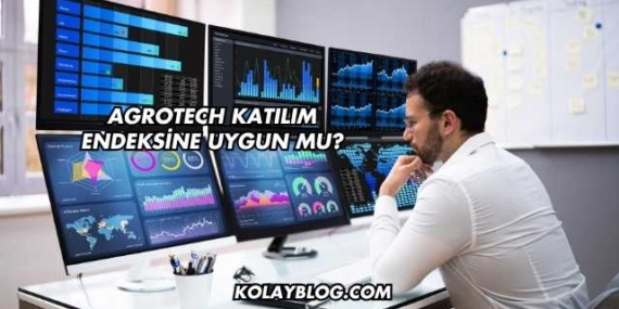 Agrotech Katılım Endeksine Uygun mu?