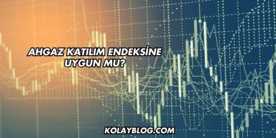 Ahgaz Katılım Endeksine Uygun mu?