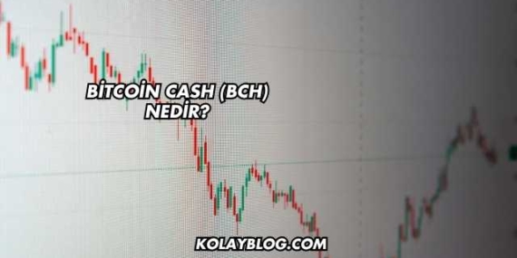 Bitcoin Cash (BCH) Nedir?