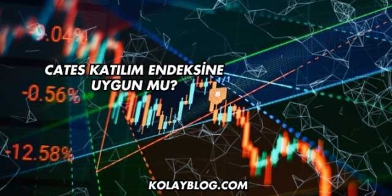 Cates Katılım Endeksine Uygun mu?