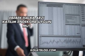 Ebebek Halka Arzı Katılım Endeksine Uygun mu?