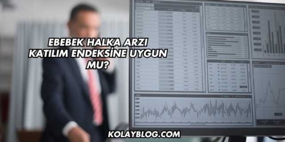 Ebebek Halka Arzı Katılım Endeksine Uygun mu?