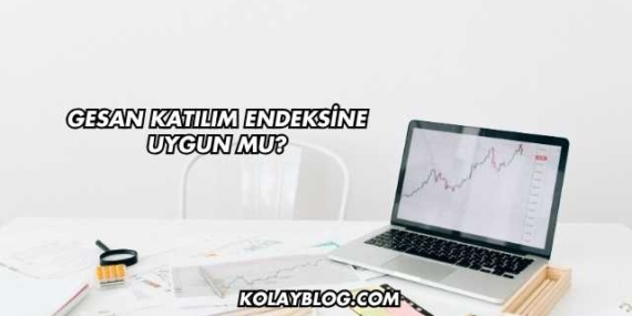 GESAN Katılım Endeksine Uygun mu?