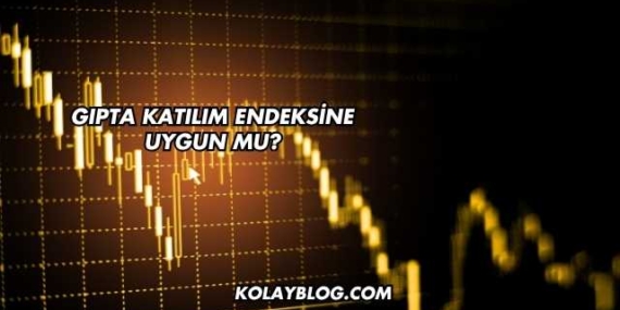 Gıpta Katılım Endeksine Uygun mu?