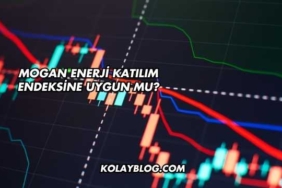 Mogan Enerji Katılım Endeksine Uygun mu?