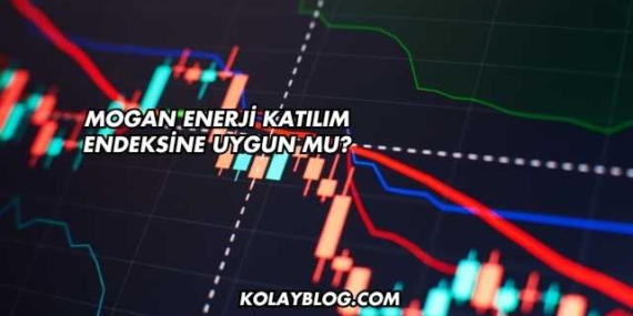 Mogan Enerji Katılım Endeksine Uygun mu?