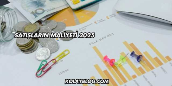 Satışların Maliyeti 2025