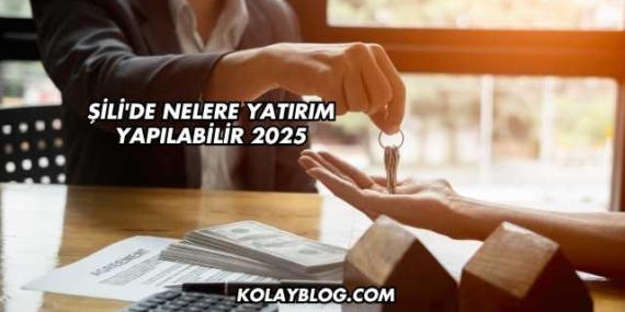 Şili’de Nelere Yatırım Yapılabilir 2025