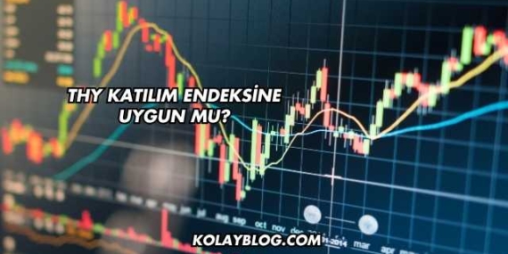 THY Katılım Endeksine Uygun mu?