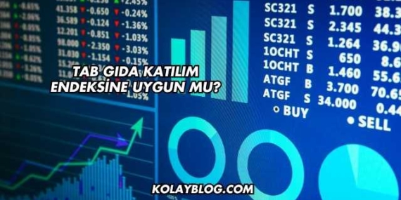 Tab Gıda Katılım Endeksine Uygun mu?