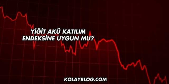 Yiğit Akü Katılım Endeksine Uygun mu?