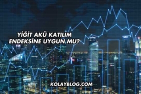 Yiğit Akü Katılım Endeksine Uygun mu?