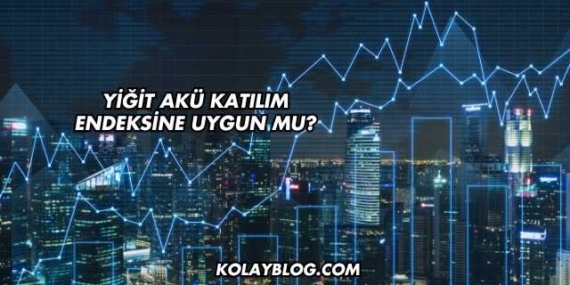 Yiğit Akü Katılım Endeksine Uygun mu?