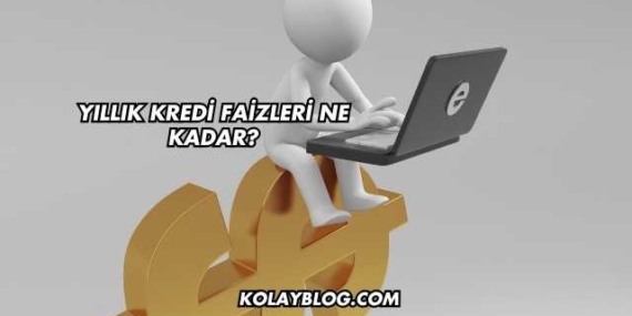 Yıllık Kredi Faizleri Ne Kadar?
