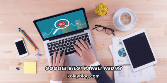 Google Bilgi Paneli Nedir?