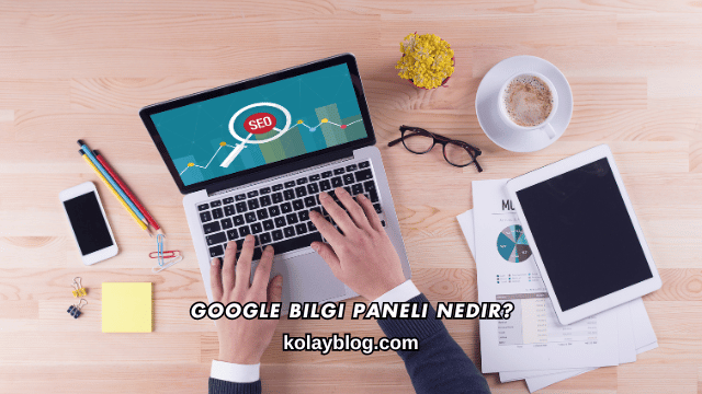 Google Bilgi Paneli Nedir?