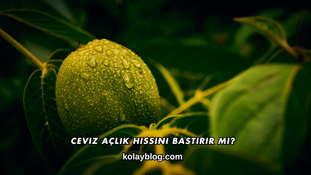 Ceviz Açlık Hissini Bastırır mı?