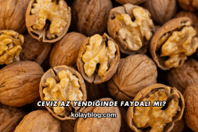 Ceviz Az Yendiğinde Faydalı mı?
