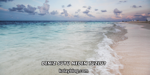 Deniz Suyu Neden Tuzlu?