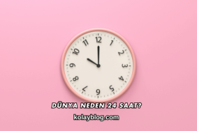 Dünya Neden 24 Saat?