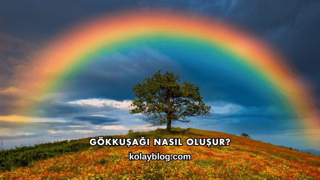 Gökkuşağı Nasıl Oluşur?