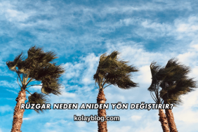 Rüzgar Neden Aniden Yön Değiştirir?