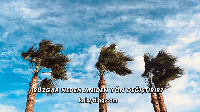 Rüzgar Neden Aniden Yön Değiştirir?